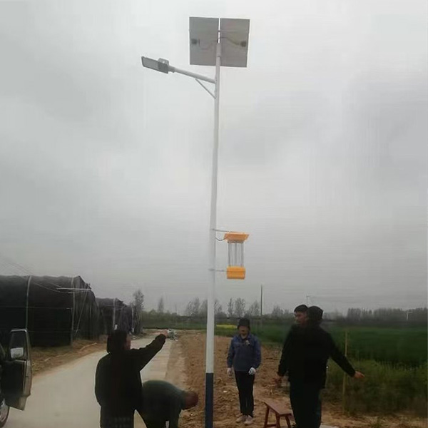 Insecticidal lamp