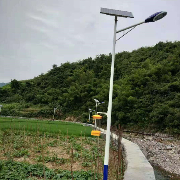 Insecticidal lamp